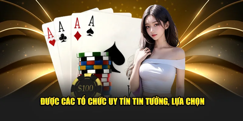 Được các tổ chức uy tín tin tưởng, lựa chọn