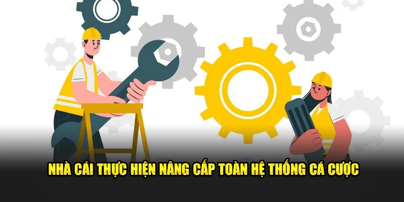 Nhà cái thực hiện nâng cấp toàn hệ thống cá cược